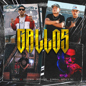 Gallos (Explicit)