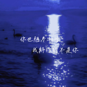 我想陪你看的不止花