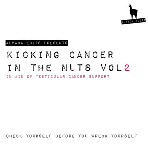 Black Rose Shakes (Original Mix)