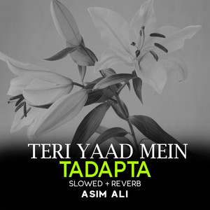 Teri Yaad Mein Tadapta Lofi