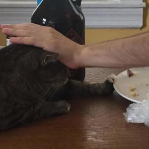 **** June (Explicit)