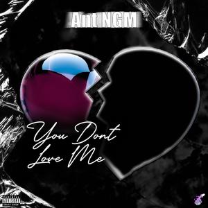 You Don't Love Me (Explicit)