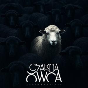 Czarna Owca (Explicit)