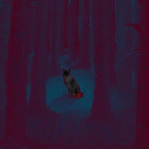 Coyote(feat. XeroCare) (Explicit)