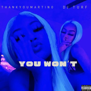 You Won't (Explicit)