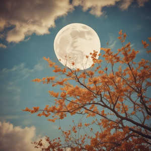 A Heart Full of Love