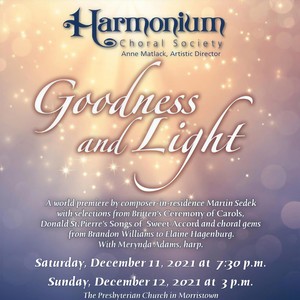 Goodness and Light: VIII. a Good Diffused and IX. Recession [feat. Merynda Adams] (Live)