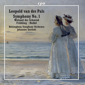 Symphony No. 1 in F-Sharp Minor, Op. 4 - Symphony No. 1 in F-Sharp Minor, Op. 4: I. Allegro moderato