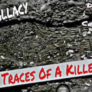 Demigod Fallacy Traces Of A Killer (Explicit)