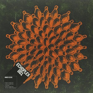 How Could You (Frenk Dublin Remix)