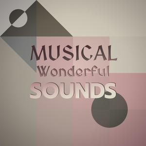 Musical Wonderful Sounds