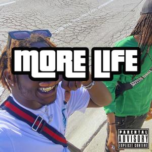 More Life (Explicit)