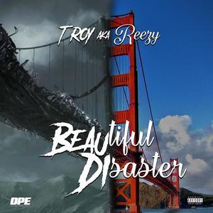 Beautiful Disaster (Explicit)