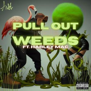 Pull Out The ****s (feat. Harley Mac) (Explicit)