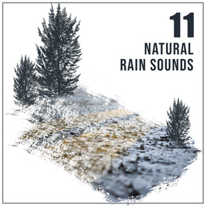 A Thunderstorm Draws Near