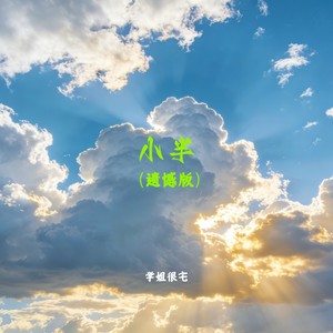 小半 (遗憾版)封面