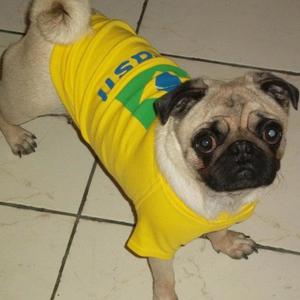 dinheiro no bolso (#67k Remix|Explicit)