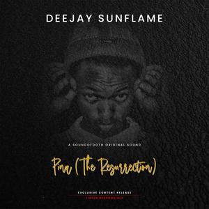 Pina(The Resurrection) (Radio Edit)