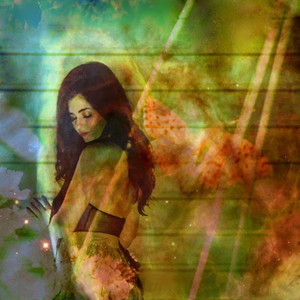 Follow the Butterflies (Ambient)