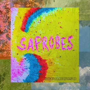 Saprobes