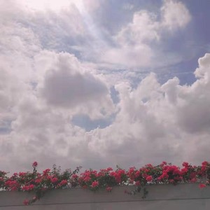 再也没有这样的人