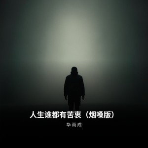 人生谁都有苦衷 (烟嗓版)