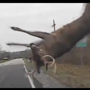 not martian (deerk) (Explicit)