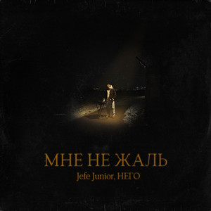 Мне не жаль