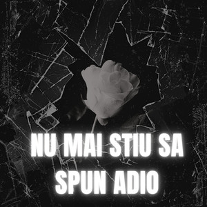 Nu Mai Stiu Sa Spun Adio