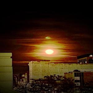 The Sickness(feat. Mayhem of EMS & Gosh The Rogue) (Explicit)