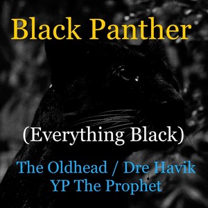 Black Panther (Everything Black)