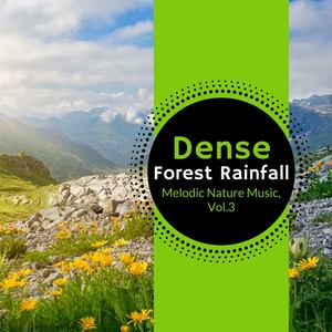 Dense Forest Rainfall - Melodic Nature Music, Vol.3