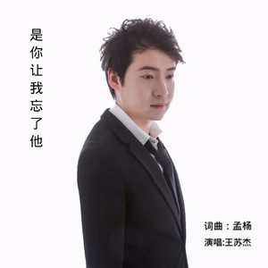 是你让我忘了他