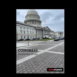 Congress (feat. Lil Zayy) (Explicit)