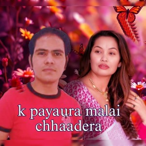 K payaura malai chhaadera