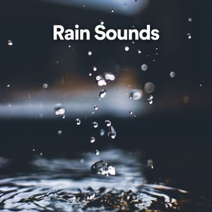 Rain Sounds