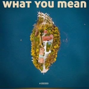 What You Mean (feat. Dre Dollaz & Dezkilledit) [Explicit]