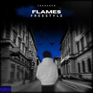 Flames Freestyle (Explicit)