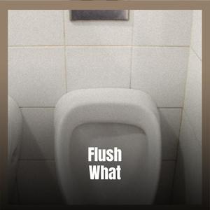 Flush What