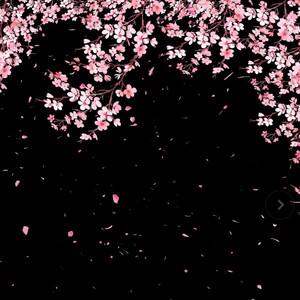 I THINK I FELL IN (phonk)