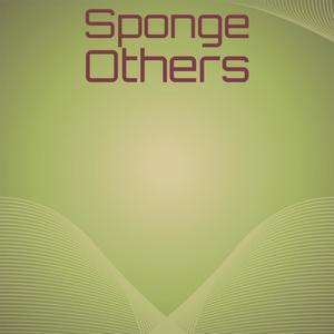 Sponge Others