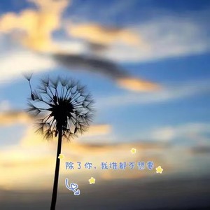 可可佳 - 除了你,我谁都不想要 (伴奏)