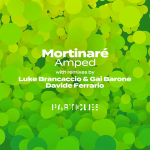 Last Funk (Davide Ferrario Remix)
