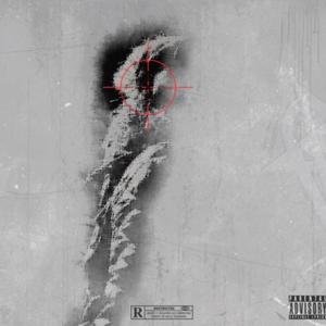 Sentimental (feat. Hotboy Polo) (Explicit)