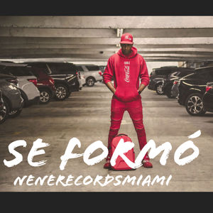 Se Formó