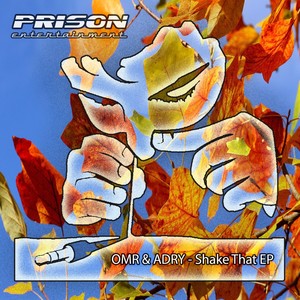Shake That (Original Mix)