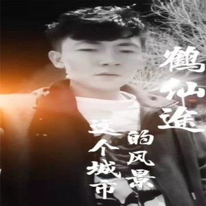 这个城市的风景 (伴奏)