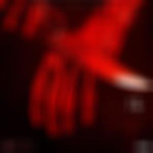 Erlösung (feat. Vata Thereza & DJ Boogeyman|Explicit)