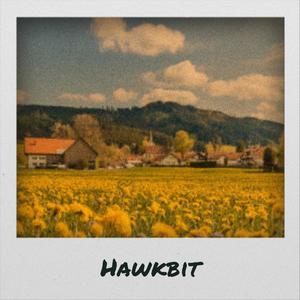 Hawkbit