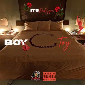 Boy Toy (Explicit)